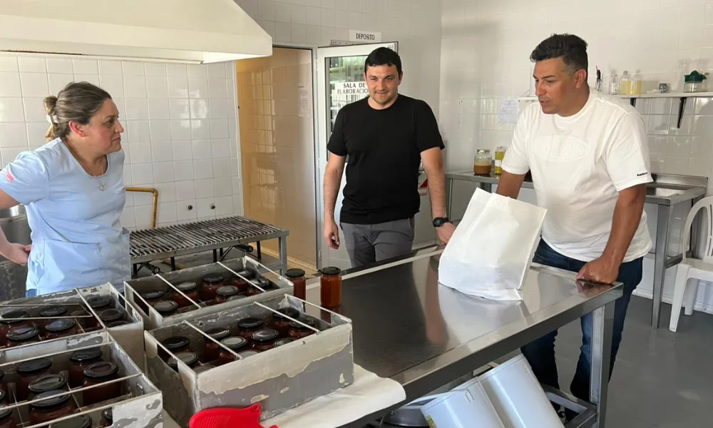 Proyectos productivos para Sarmiento
