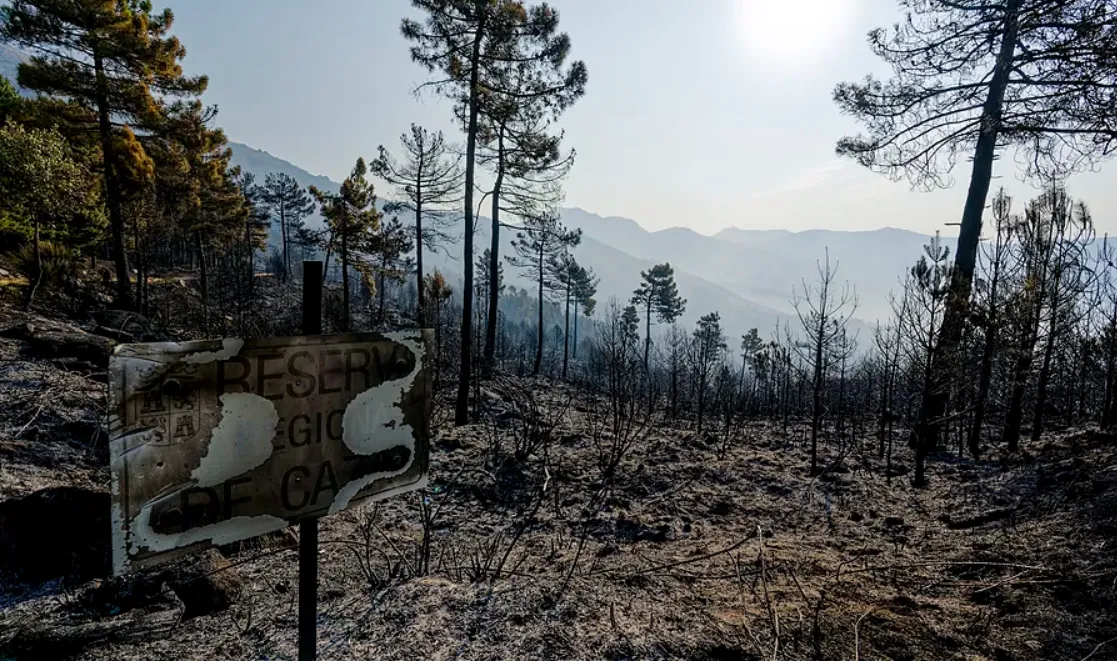 incendios españa