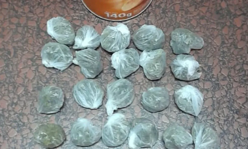 Detuvieron en la Terminal de Trelew a un hombre con envoltorios de marihuana