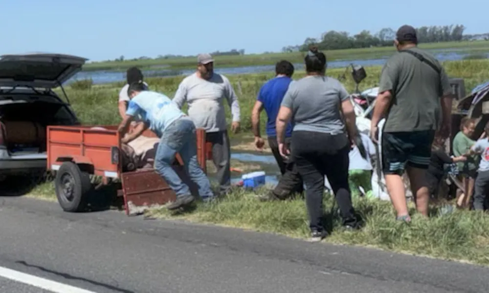 Vecinos cargando los cerdos