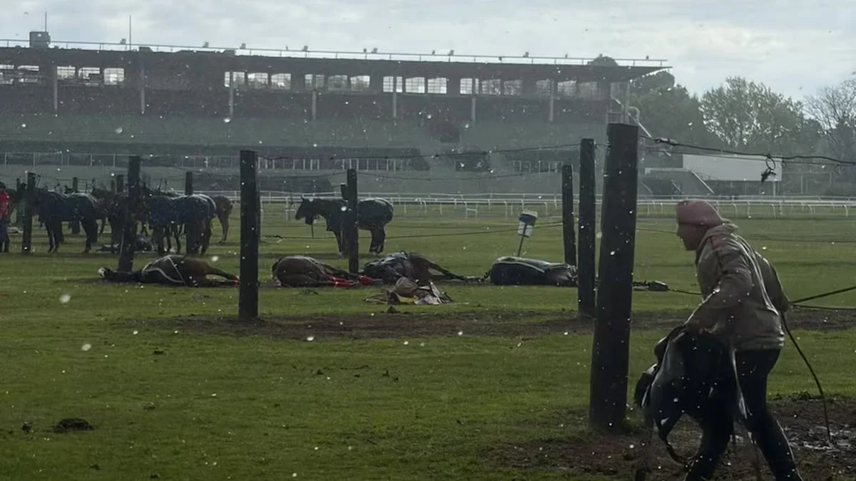 Jockey Club de San Isidro