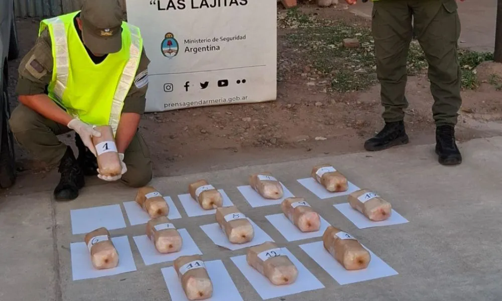 Golpe al narcotráfico en Salta