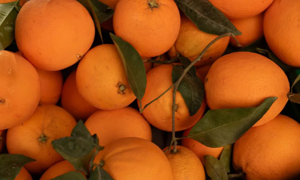 Naranjas (Foto: ai_mgenerations)