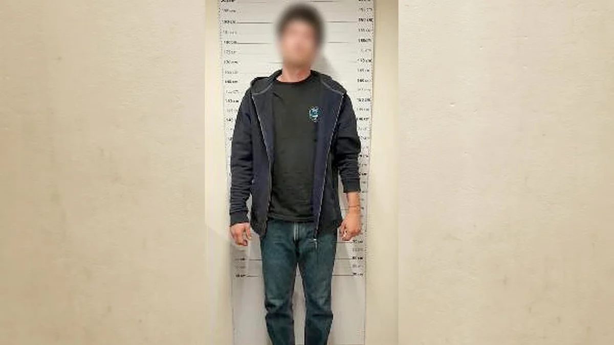 Carpintero asesino (NA)