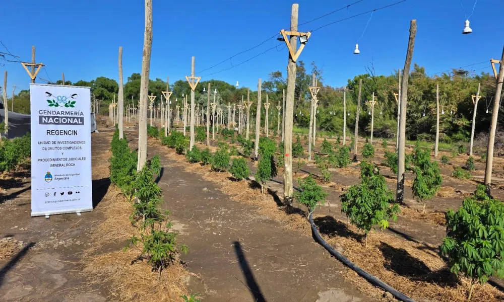Caen diez personas por una red narco con vínculos entre Rosario y el Alto Valle rionegrino