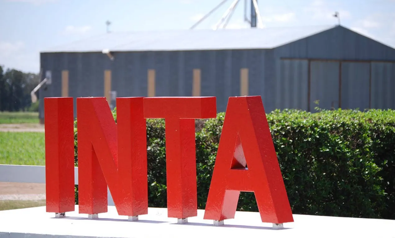 inta