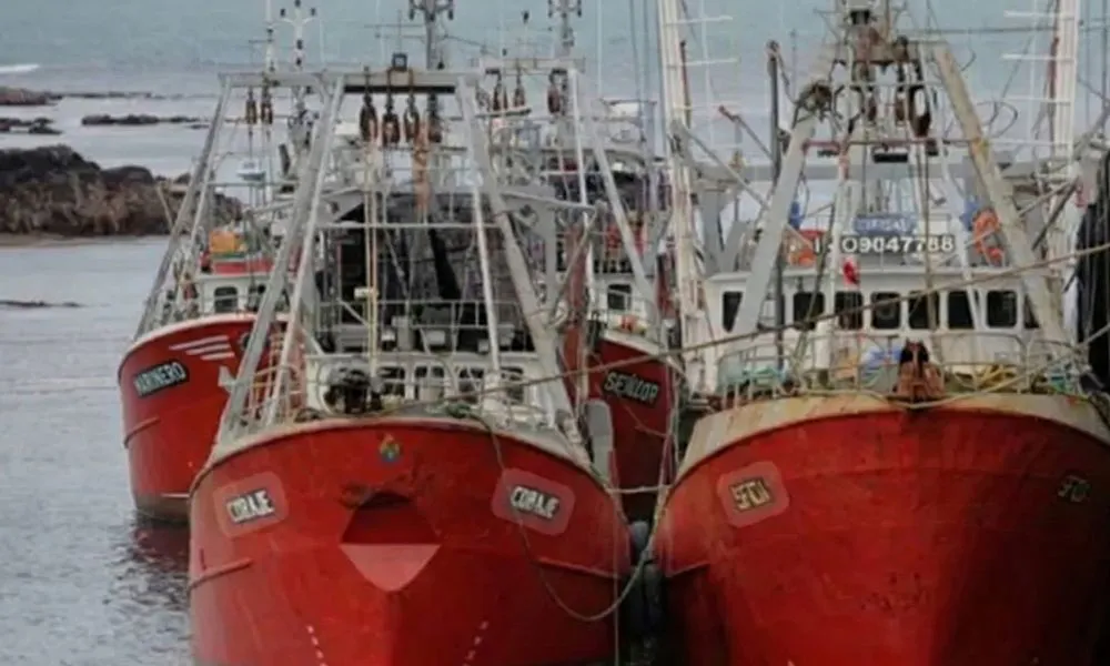 Barcos de pesca