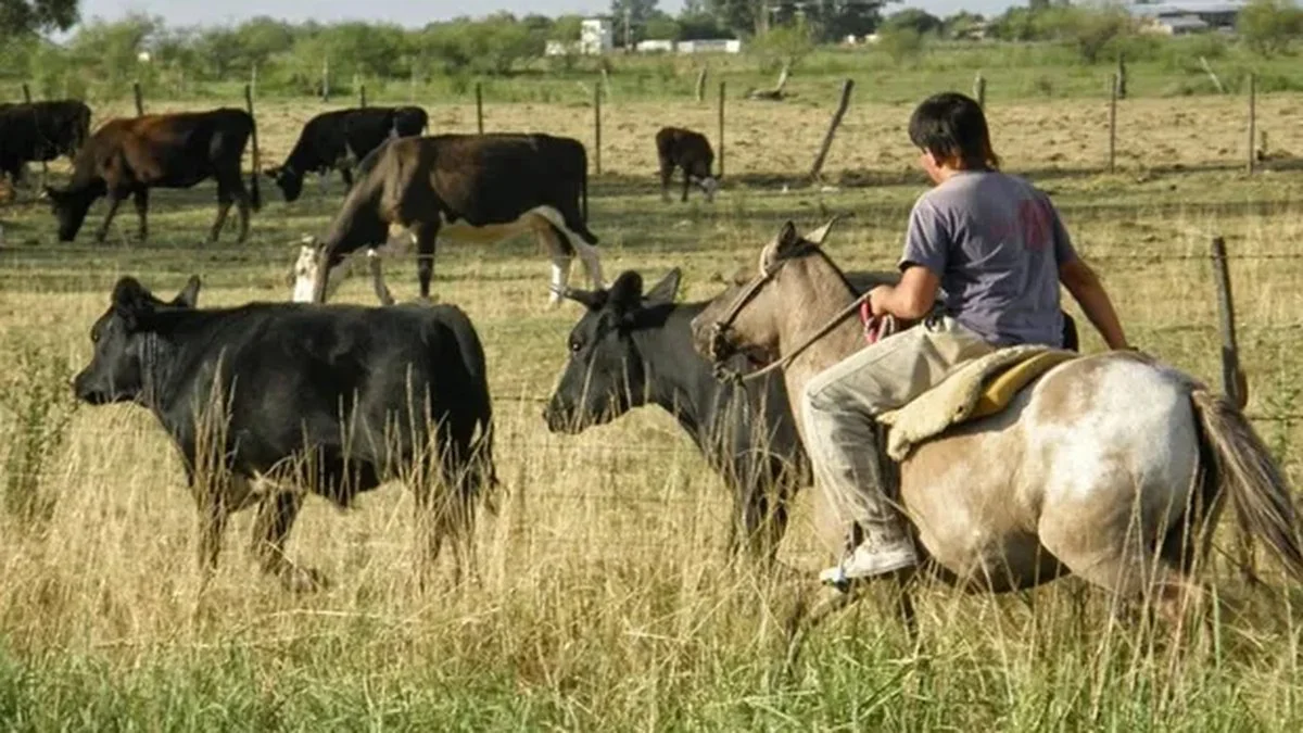Trabajo rural (Agrofy News)