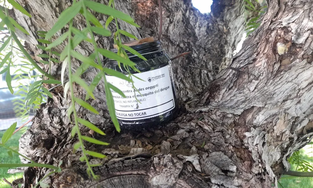 Vigilancia contra el dengue