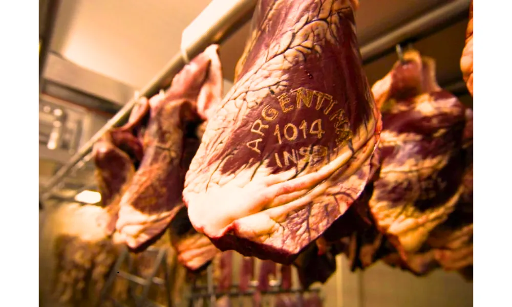 Carne argentina (1)