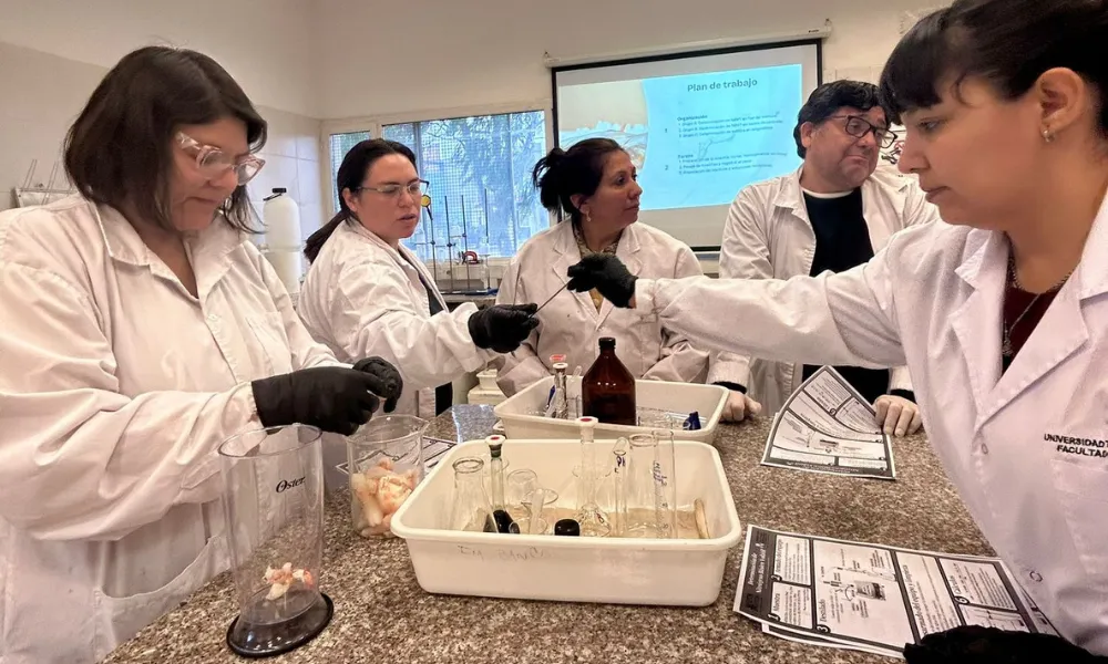 laboratorio CONIPE laboratorio CONIPE