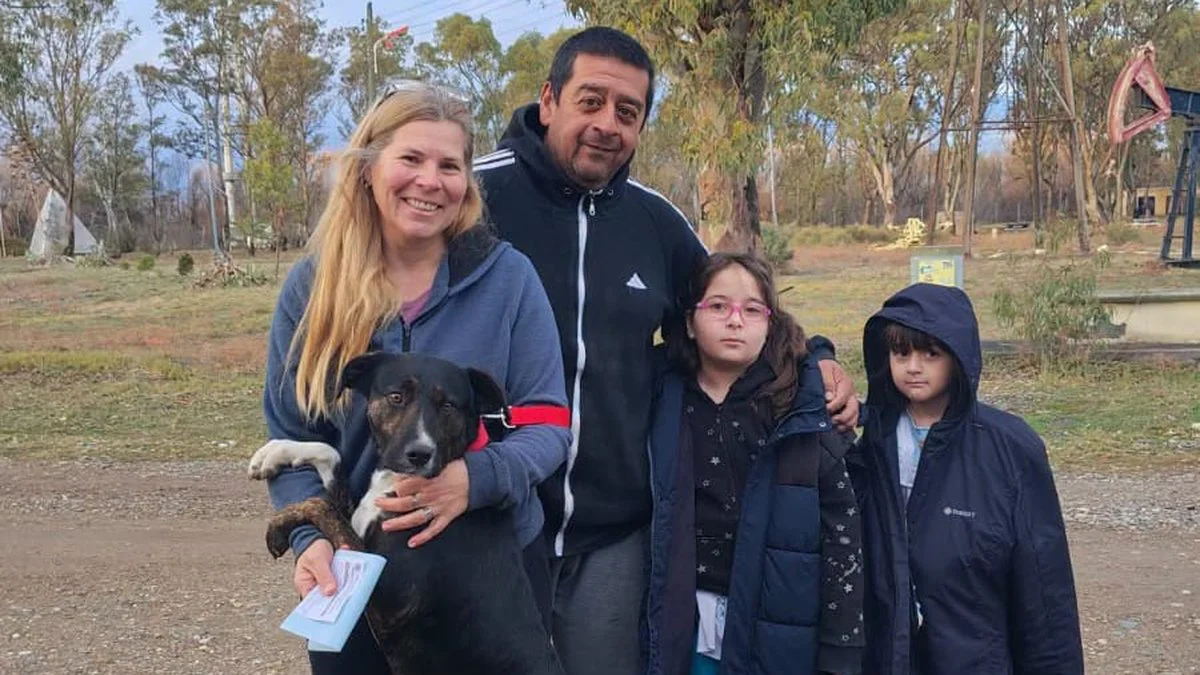 Adopción de animales