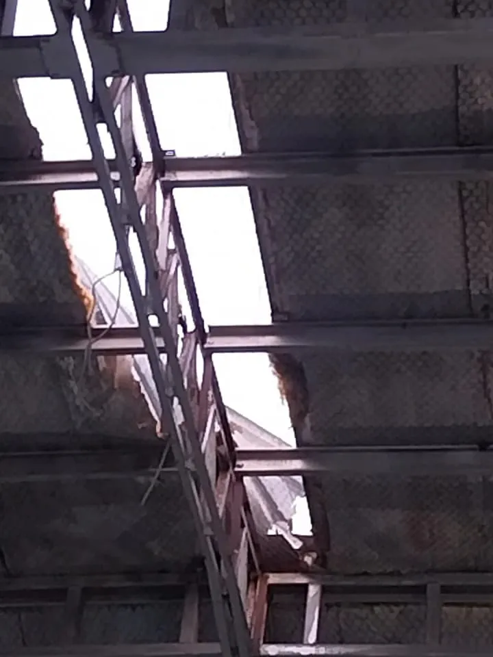 A los socios y usuarios del natatorio del Club Ferro. 3