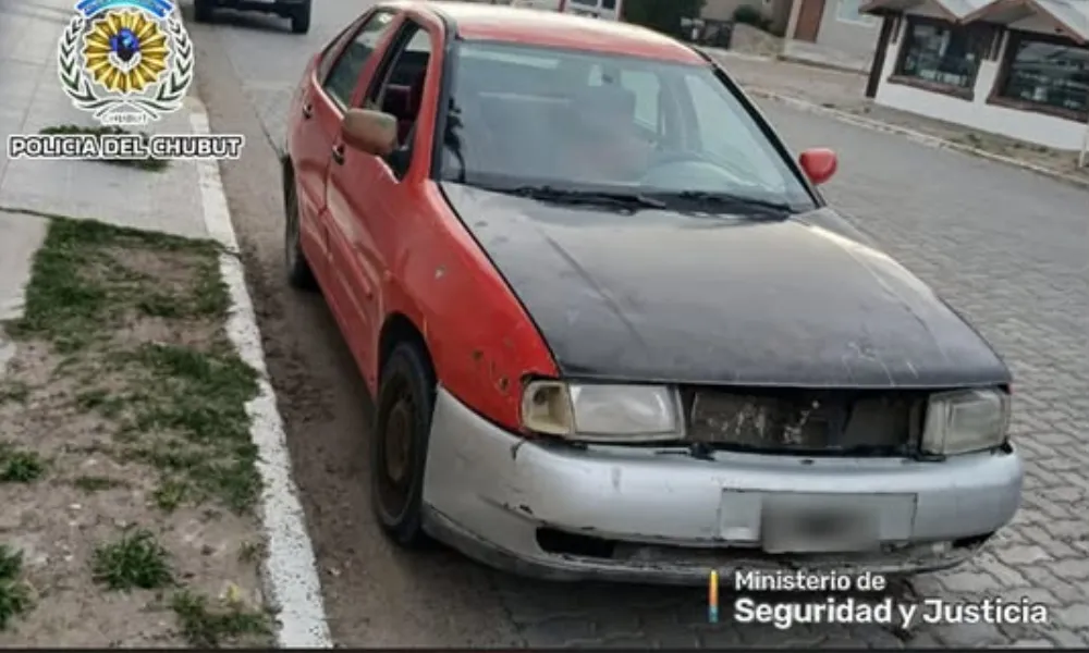 Automóvil donde encontraron el arma y el animal