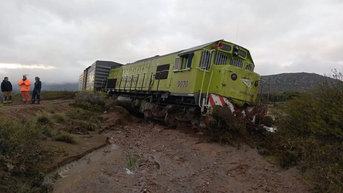 Descarrilo el Tren Patagonico