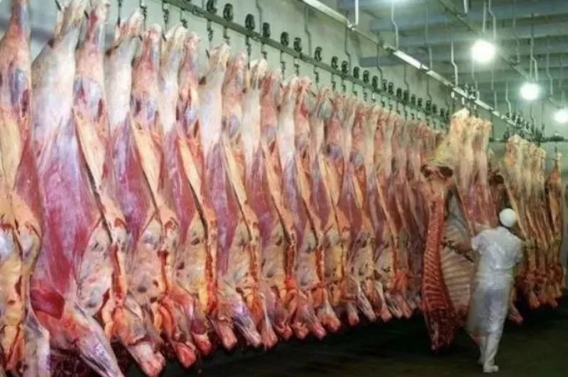 amenazas carne