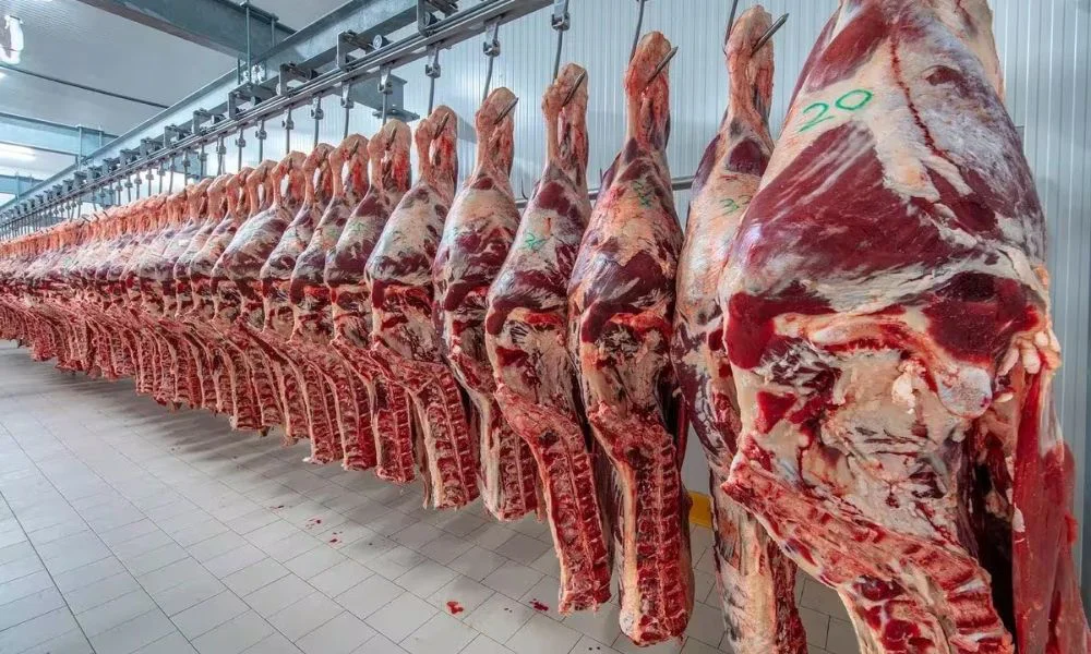 Carne vacuna