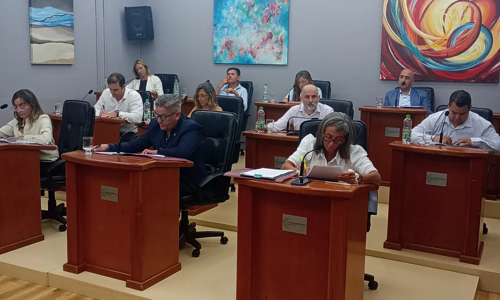 Concejo Deliberante Madryn
