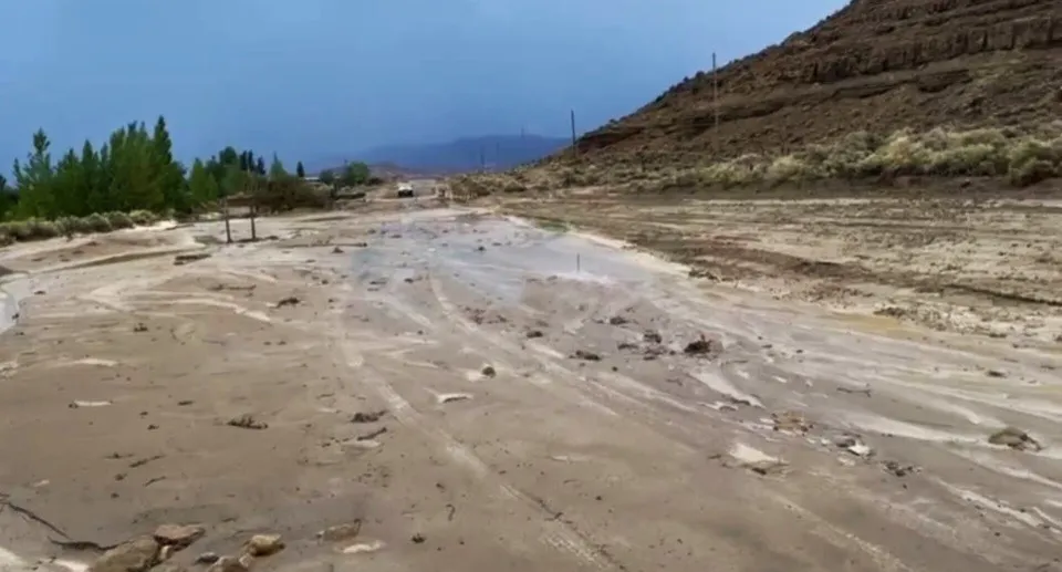 temporal paso sapo