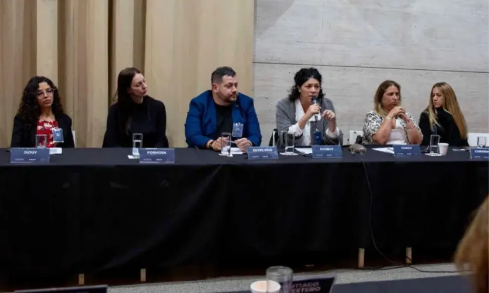 Chubut en el COFEDRO