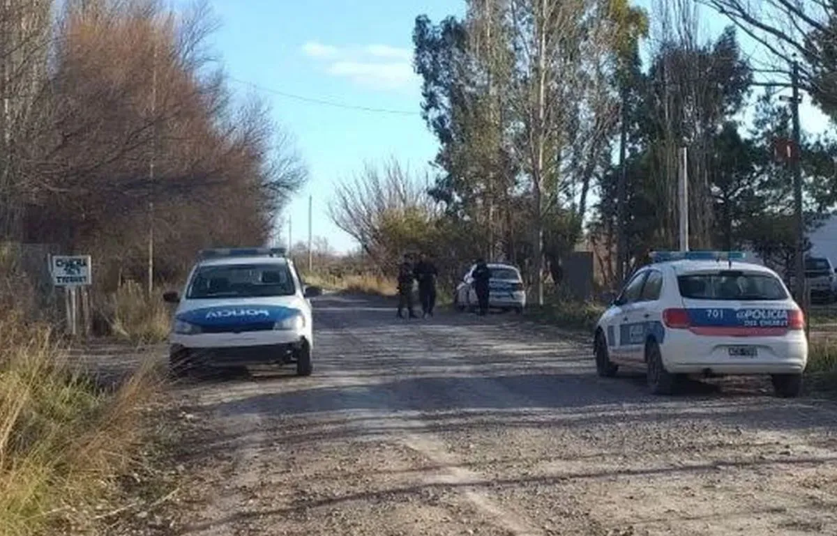 Robaron 120 bolsas de papa de una chacra