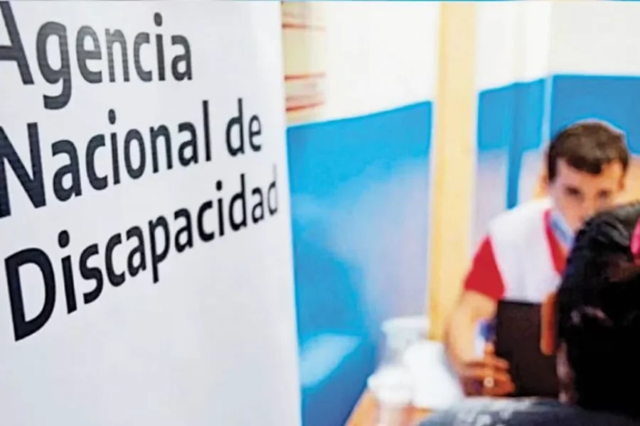 Ley de Discapacidad