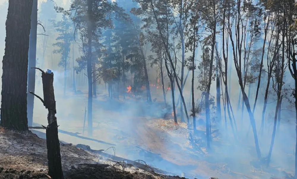 INCENDIO CORDILLERA CHUBUT