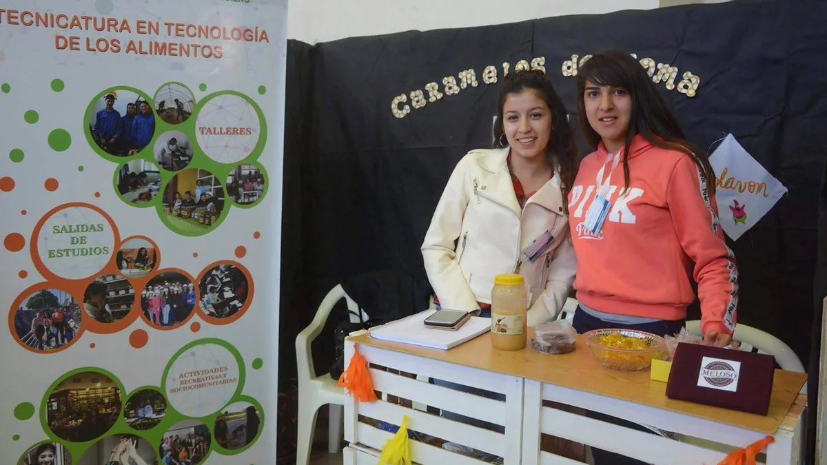 Desarrollo Emprendedor
