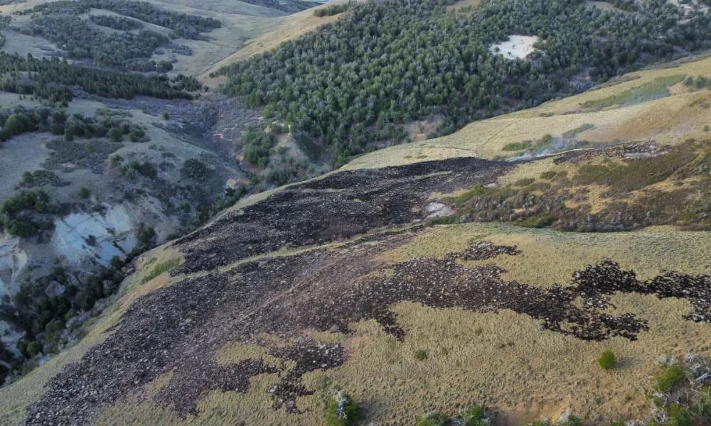 Incendio cordillera 28 de octubre 3