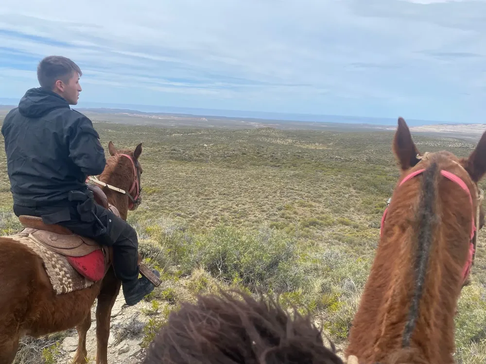 La Montada realizó rastrillajes a caballo