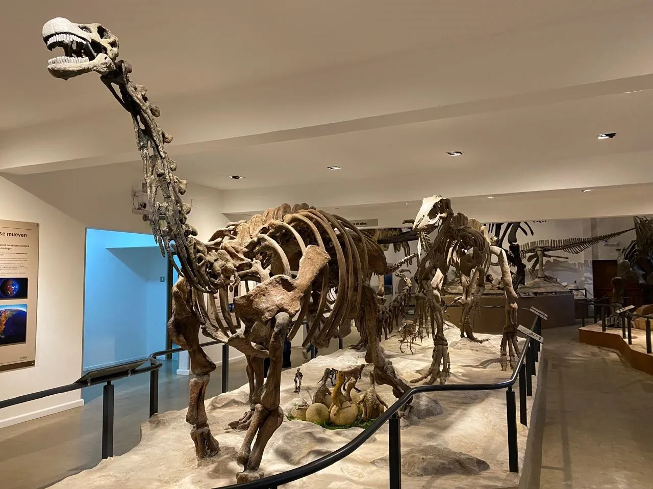 Museo de Historia Natual en San Martín de los Andes