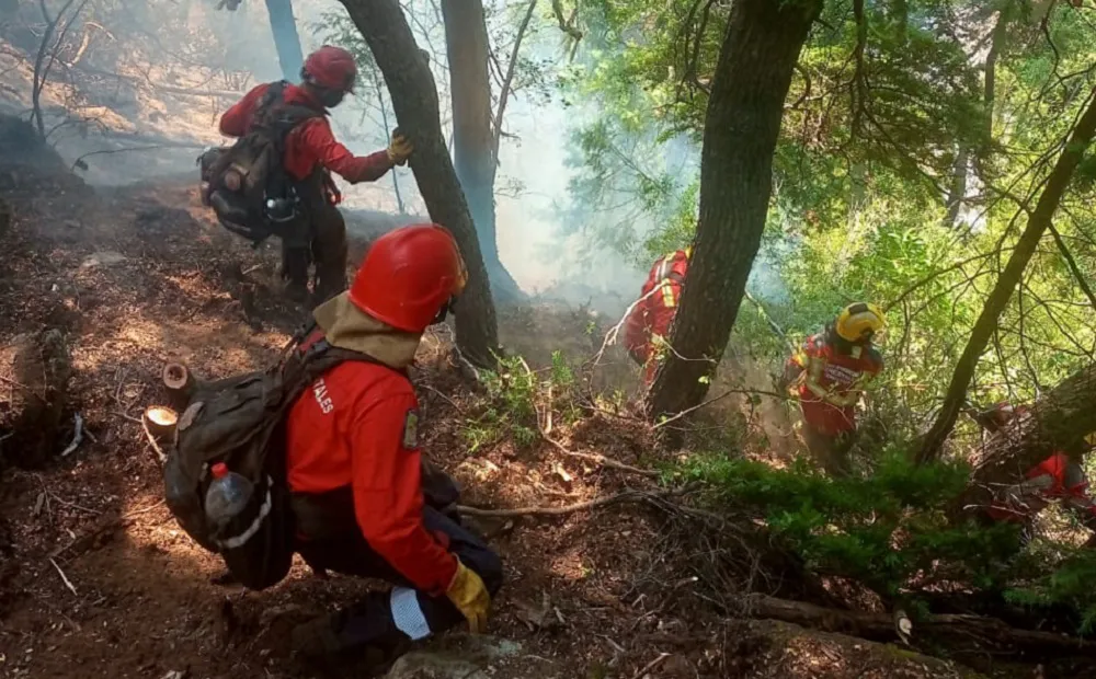 incendio Epuyén