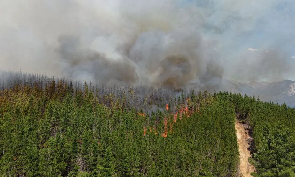 Incendio en Puerto Patriada