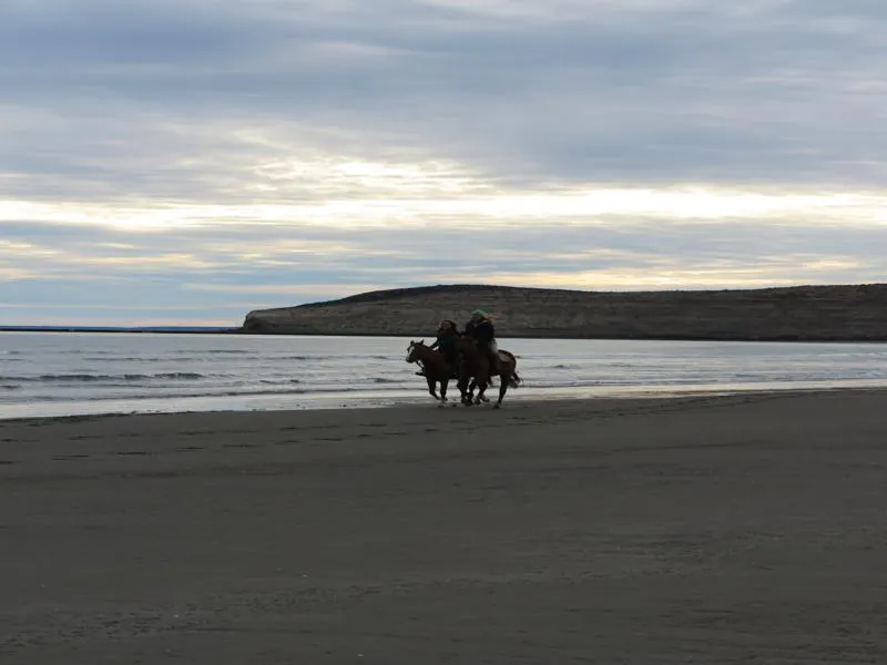 Cabalgatas en Península Valdés