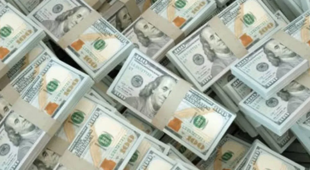 dolares plataforma