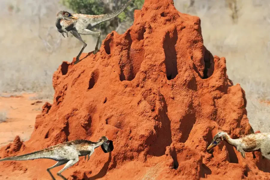 Investigadores estadounidenses y argentinos encontraron fósiles