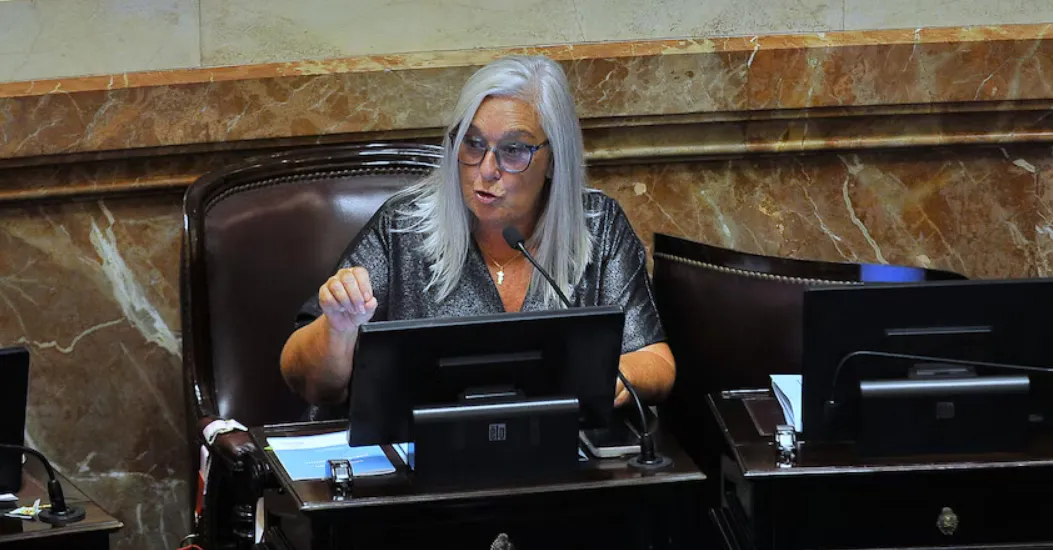 edith terenzi senadora