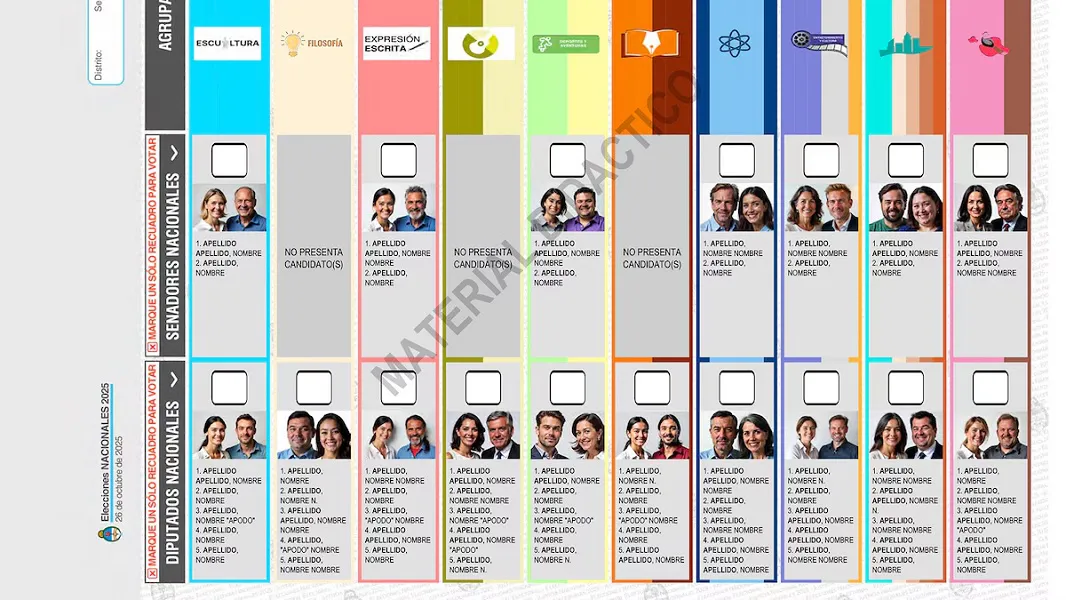 Boleta Única de Papel