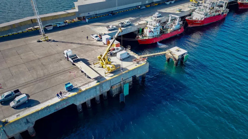 Muelle Storni