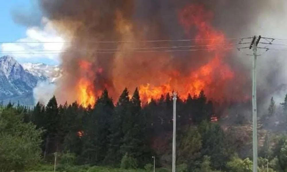 Incendio Forestal en Epuyen