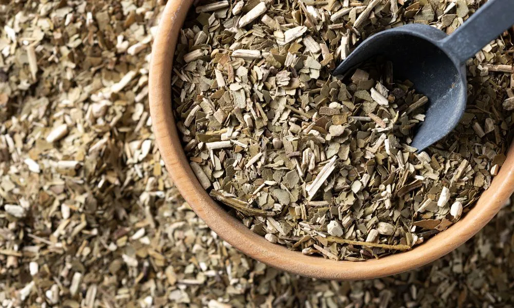 Yerba Mate. Foto Freepik