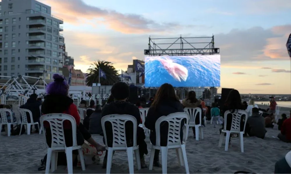 Patagonia Eco Film Fest