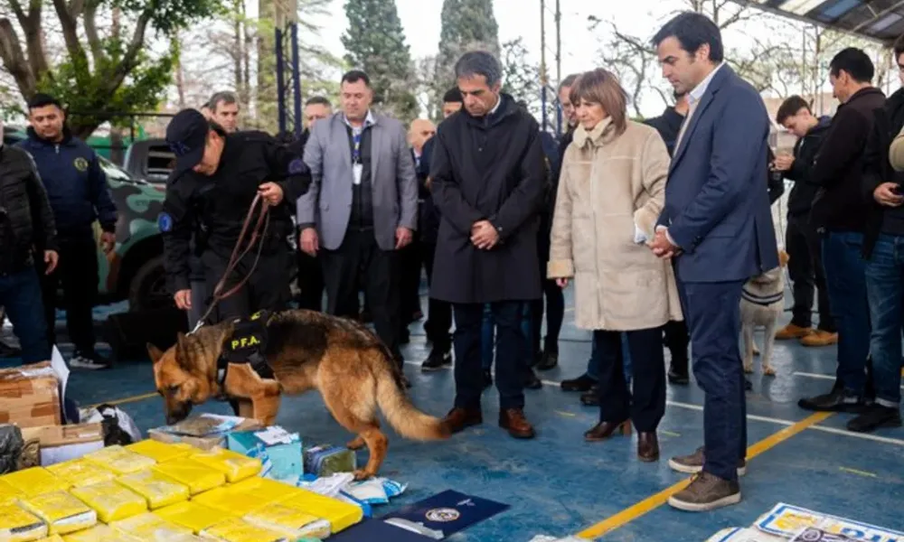 Decomiso de drogas