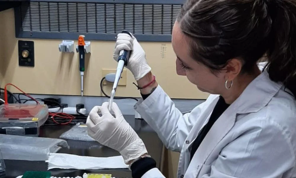 Una tesis desde Madryn suma datos clave sobre el cangrejo invasor