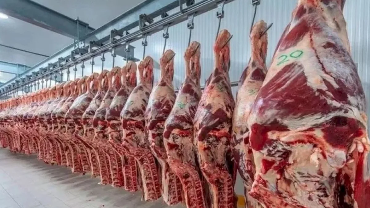 Carne Vacuna