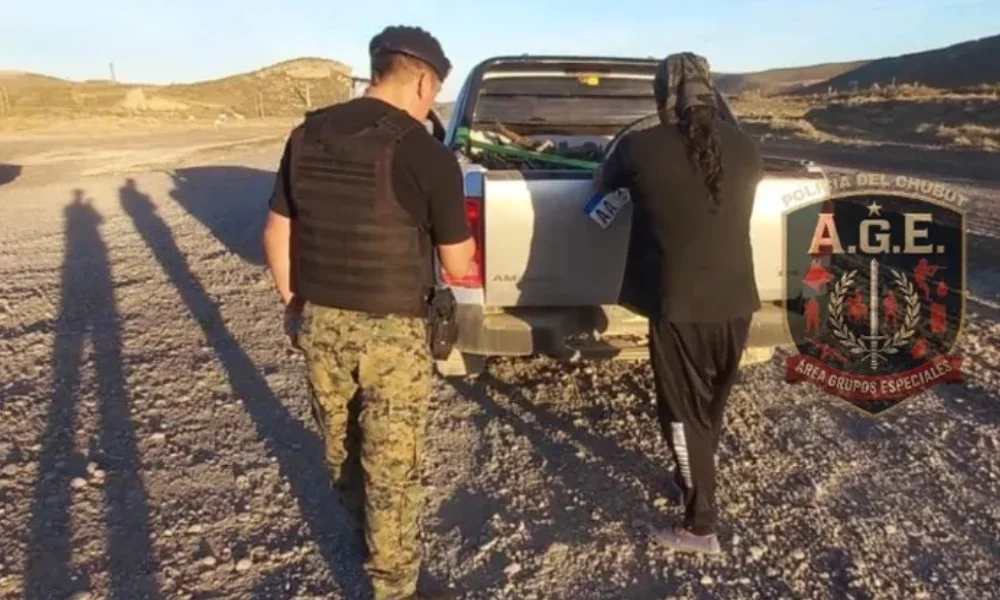 Secuestro de guanacos en Comodoro