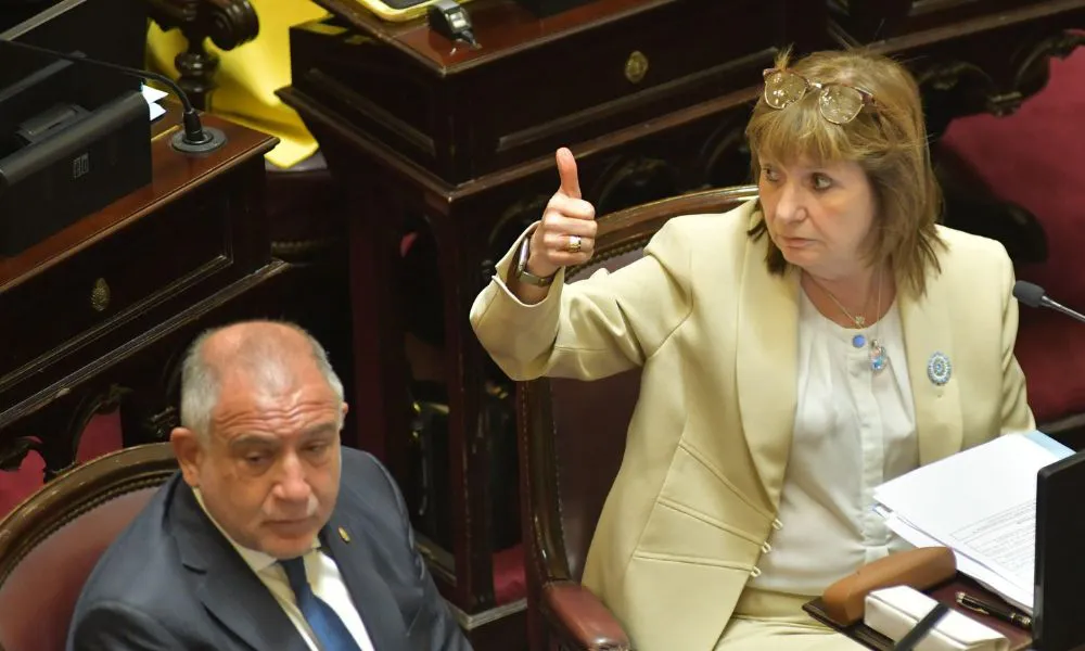 Patricia Bullrich Autor JUAN VARGAS NA