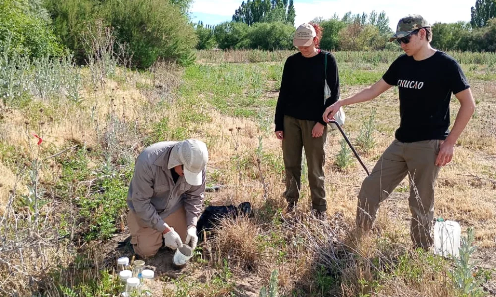 Investigadores del CONICET
