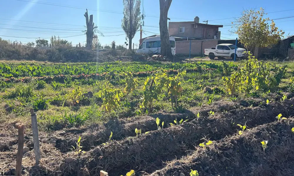 Vivero municipal