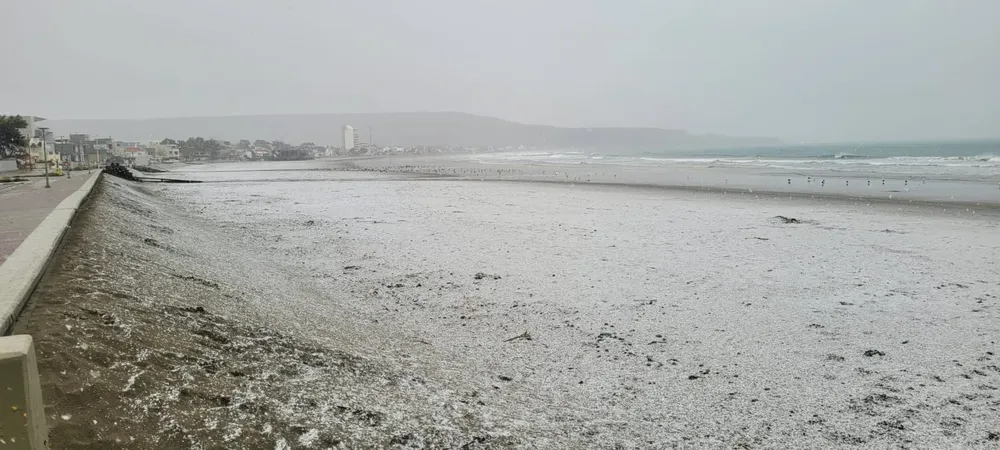 Rada Tilly